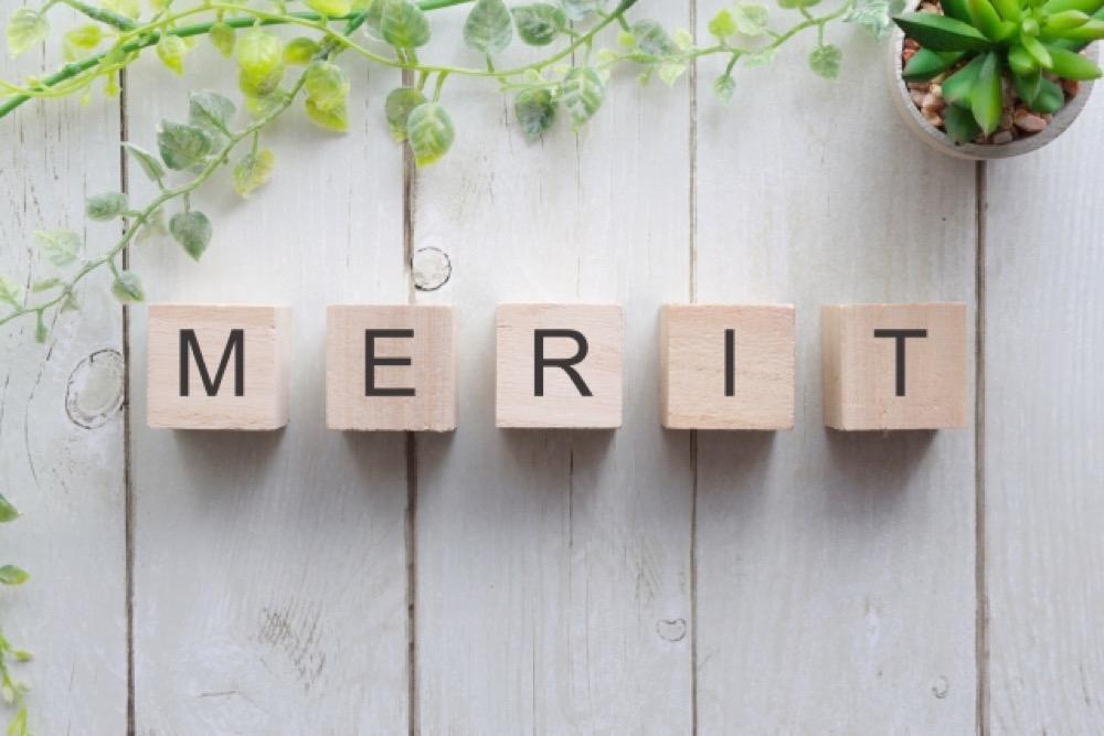 MERITの文字が並んだ木製ブロックと観葉植物